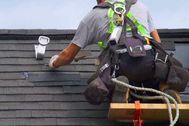 Best Local Roofing Companies  in Perry, GA