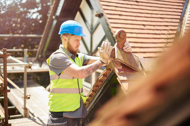 Best Roof Restoration Services  in Perry, GA
