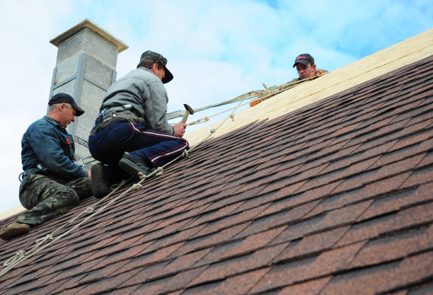 Best Roof Gutter Cleaning  in Perry, GA