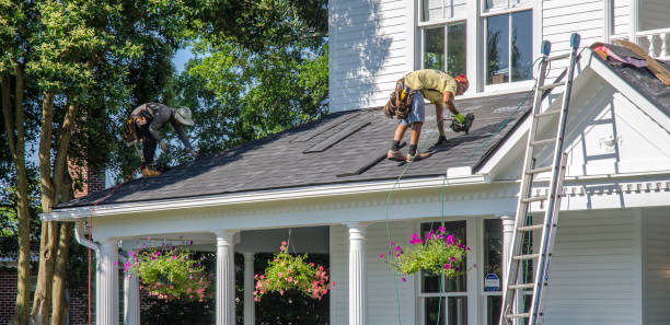 Professional Roofing Contractor in Perry, GA